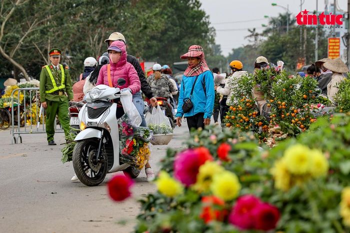 Chợ hoa Mê Linh là địa chỉ "đỏ" của các thương lái và người dân ở khắp nơi tìm đến vì giá cả phải chăng và nhiều loại hoa đẹp, đặc sắc.