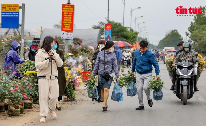 Khách đến tham quan làng hoa Mê Linh đa phần đến từ Hà Nội, Vĩnh Phúc và các địa phương lân cận.