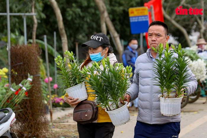 Ai cũng "tay xách, nách mang", chọn cho mình chậu hoa ưng ý để chơi Tết.