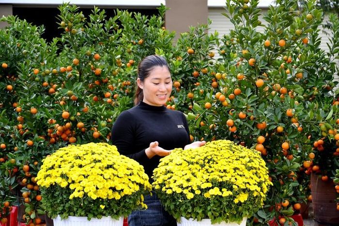 Mùa xuân đã về. Ảnh: Quốc Hồng