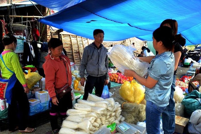 Chọn mua miến làm từ củ đao trồng trên núi. Ảnh: Quốc Hồng