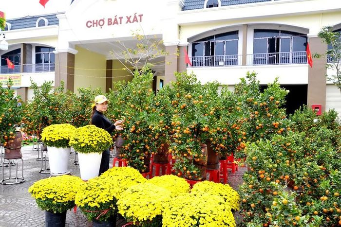 Quất cảnh miền xuôi ngược lên chợ phiên miền núi Bát Xát (Lào Cai). Ảnh: Quốc Hồng