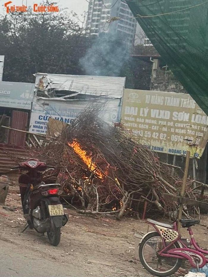 Một đám lửa được tạo nên bởi những cành đào không bán được trên một con phố tại Hà Nội.