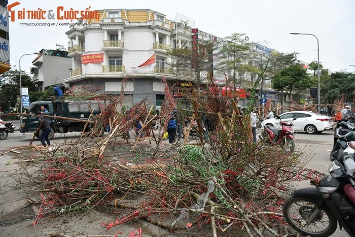 Nỗi buồn không chỉ riêng của chị Thu Huyền mà còn của nhiều tiểu thương khác cũng kinh doanh mặt hàng cây cảnh phục vụ Tết ở khu vực Vạn Phúc - Hà Đông.