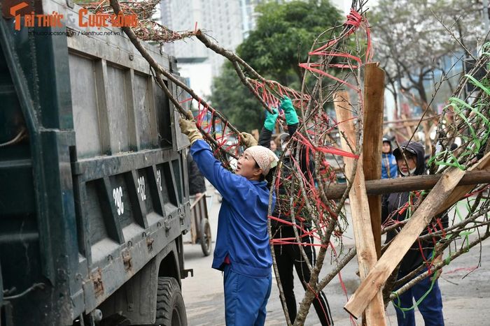 Chị Thu Huyền chia sẻ: "Nhà tôi mang hơn 200 gốc đào rừng đi bán nhưng chưa bán nổi một nửa. Giảm giá các kiểu rồi nhưng người xem thì nhiều chứ người mua chẳng được mấy. Thôi đành mang về làm gì thì làm vậy".