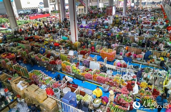 Chợ Đẩu Nam bán hơn 1.600 loại hoa tươi cắt cành thuộc hơn 110 chủng loại mỗi năm.
