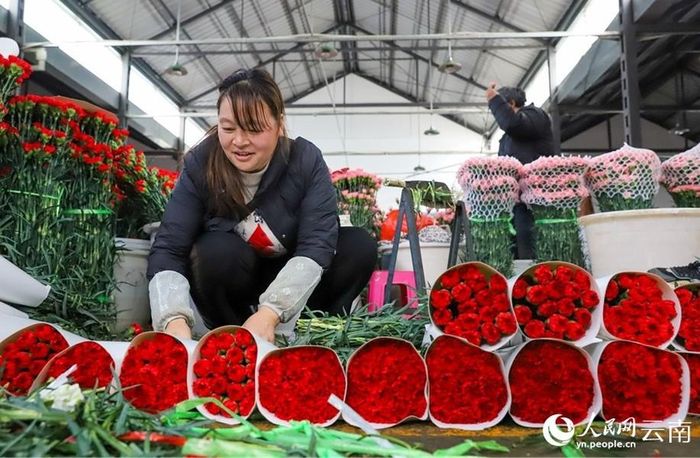 Một chủ cửa hàng gói hoa mới cắt.