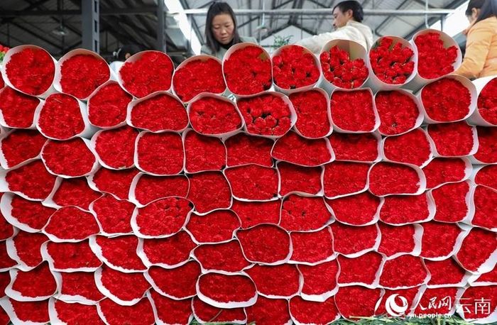 Lượng hoa giao dịch mỗi ngày ở chợ rất lớn.