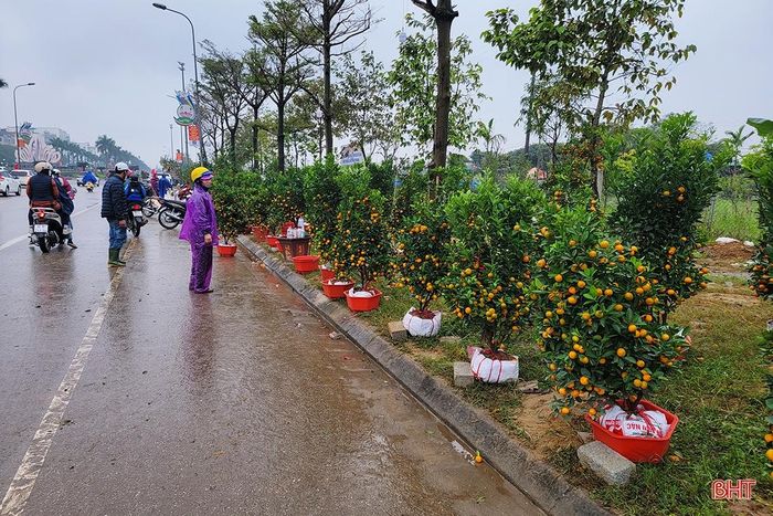16h chiều 30 tết, cảnh mua bán hoa, cây cảnh vẫn diễn ra nhưng lượng người mua giảm khá nhiều.