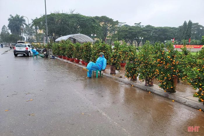 Chiều muộn 30 tết, tiểu thương vẫn ngóng khách tới mua hoa, cây cảnh.