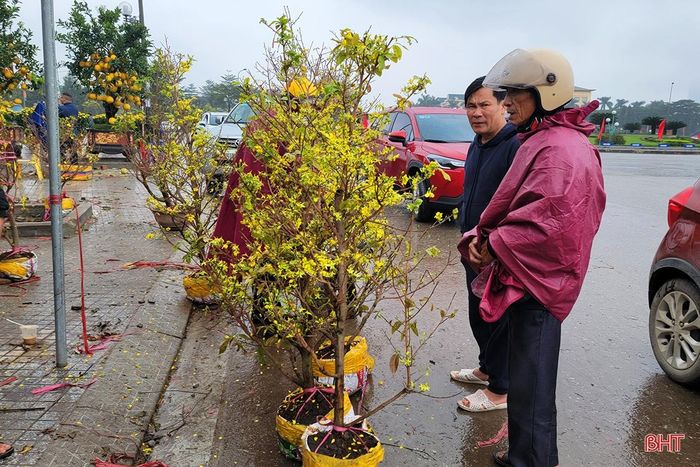 Việc kinh doanh, buôn bán hoa, cây cảnh trong dịp tết nhìn chung khó khăn hơn những năm trước.