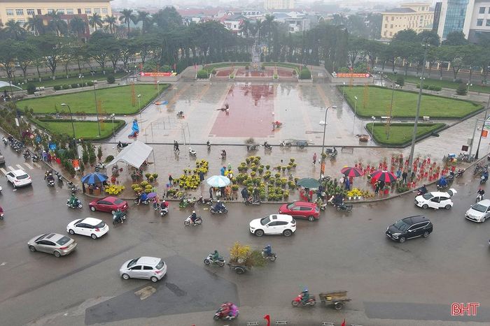 Theo đánh giá của tiểu thương, lượng hoa, cây cảnh chưng tết năm nay khá phong phú với đầy đủ các loại như mai vàng, nhất chi mai, bưởi cảnh, đào các loại, quất và quýt cảnh. So với mọi năm, giá cả năm nay có phần “mềm” hơn rất nhiều. Dù vậy, sức tiêu thụ lại không được như kỳ vọng.
