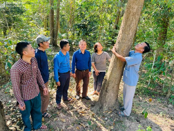 Các thế hệ cán bộ bản Na Hang giới thiệu với lãnh đạo xã Mai Sơn (huyện Tương Dương) về rừng đinh hương. Ảnh: Khánh Ly