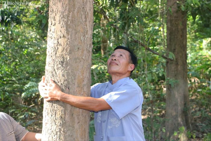 Ông Kha Văn Tuấn- Người uy tín ở bản Na Hang, xã Mai Sơn (Tương Dương) bên những gốc đinh hương hàng chục năm tuổi. Ảnh: Khánh Ly