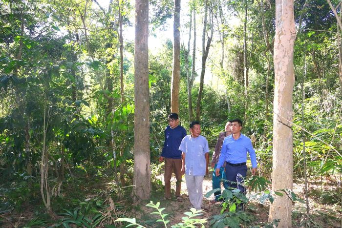 Người dân bản Na Hang thành lập các tổ tuần tra để bảo vệ rừng đinh hương. Ảnh: Quỳnh An