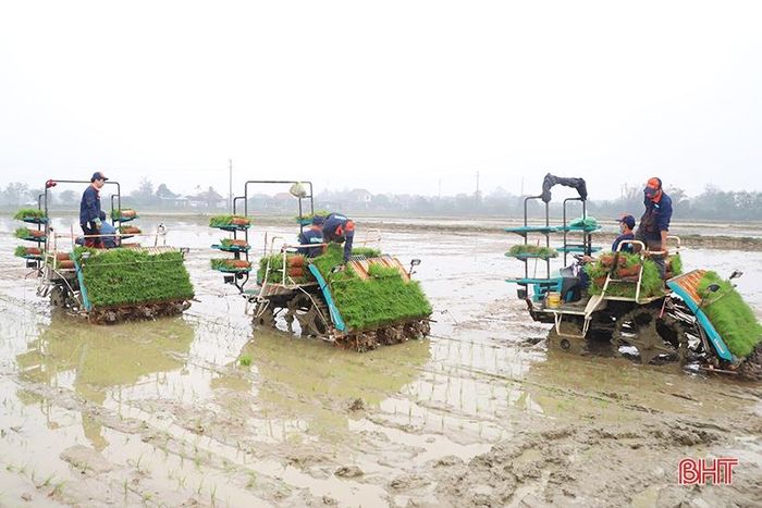 Huyện Cẩm Xuyên ứng dụng công nghệ mạ khay máy cấy, đưa cơ giới hóa vào đồng ruộng.