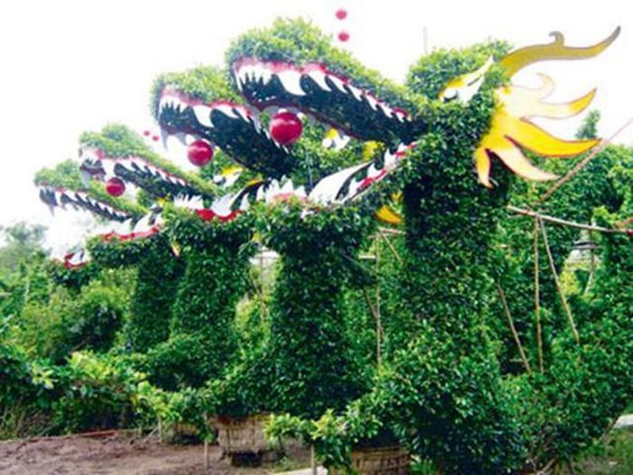 Rồng nhà vườn Cái Mơn