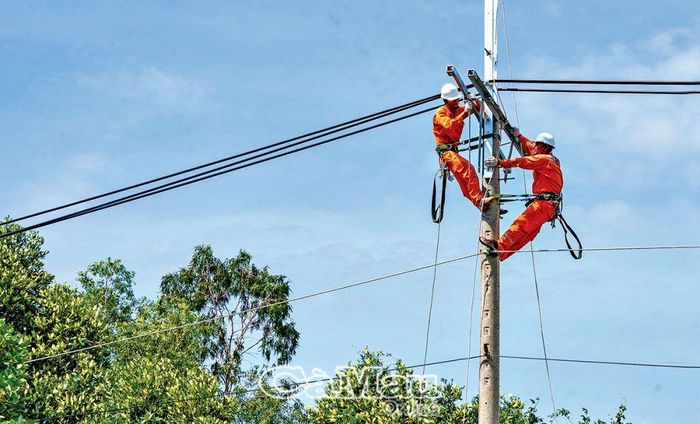 Ðưa điện về vùng ven biển xã Nguyễn Việt Khái, huyện Phú Tân.