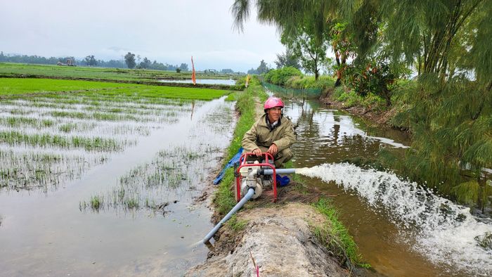  Người dân bơm nước từ ruộng ra mương để chống úng cho cây lúa. Ảnh: HỮU PHÚC 