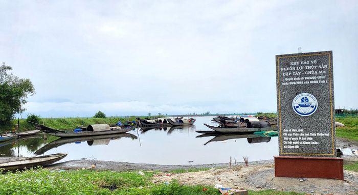  Khu bảo vệ thủy sản. Ảnh: HỮU PHÚC 