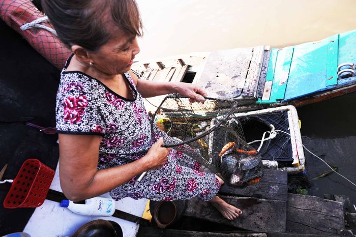 Người phụ nữ chuẩn bị bữa cơm tiễn ông bà chiều Mùng 3 Tết bằng sản vật là cá đánh bắt được dưới kênh.