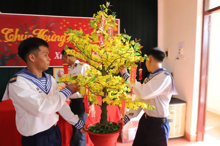 Cây mai được đưa ra từ đất liền, mang lên hội trường trang trí đón Tết.
