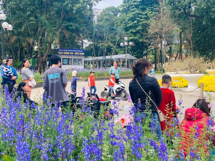 Nơi được mệnh danh là "lá phổi xanh" của Thủ đô những ngày này ngập tràn sắc hoa xuân.