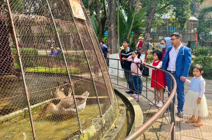 Các khu vực trưng bày thú thu hút trẻ em tới khám phá, trải nghiệm bên người thân.