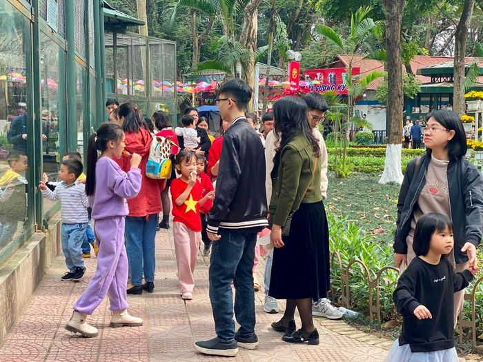 Lãnh đạo Công ty TNHH một thành viên Vườn thú Hà Nội cho biết, từ ngày mùng 1 đến mùng 3 Tết, Vườn thú đã đón gần 18.000 lượt khách tới tham quan, vui chơi.