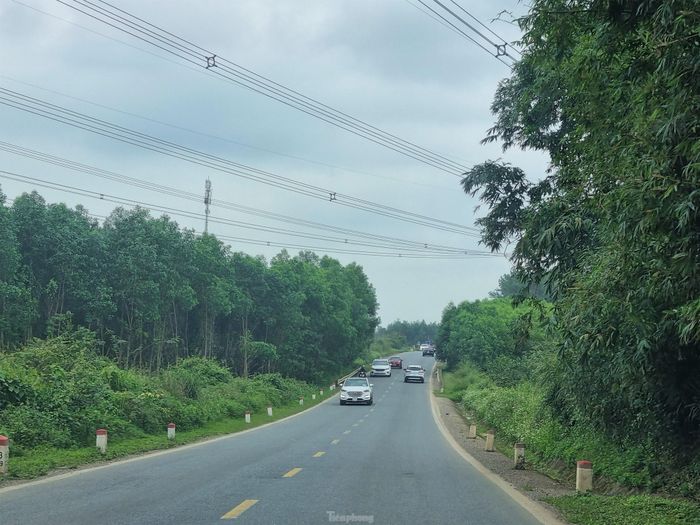 Cây cối hai bên tuyến đường ngát xanh. 