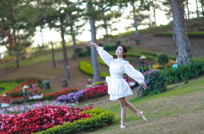 Biểu diễn bale ngoài trời.