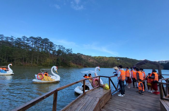 Đạp thuyền thiên nga.