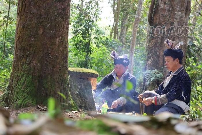  Cúng rừng đã thành nét đẹp văn hóa được trao truyền từ ngàn đời của đồng bào Dao đỏ, xã Dền Sáng. 