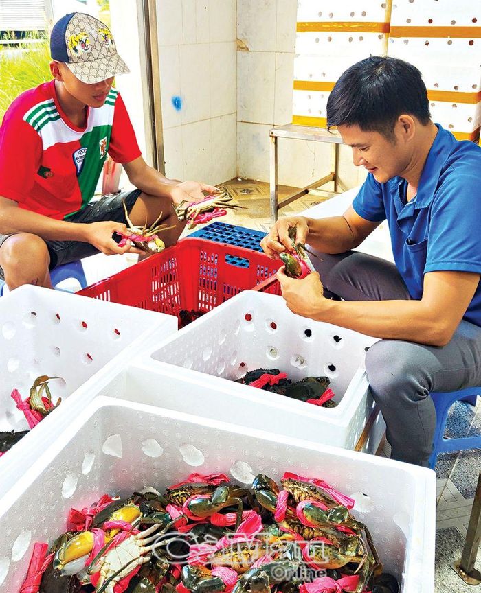 Công ty TNHH Dư Thái Bình hiện sở hữu thương hiệu cua OCOP 3 sao; phấn đấu nâng sao trong thời gian tới.