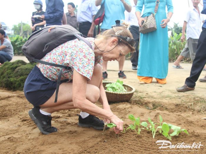 Du khách nước ngoài tham gia vào việc trồng rau ở làng Trà Quế.