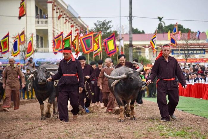 Các đồng chí lãnh đạo tỉnh Hà Nam thực hiện nghi lễ Tịch điền.