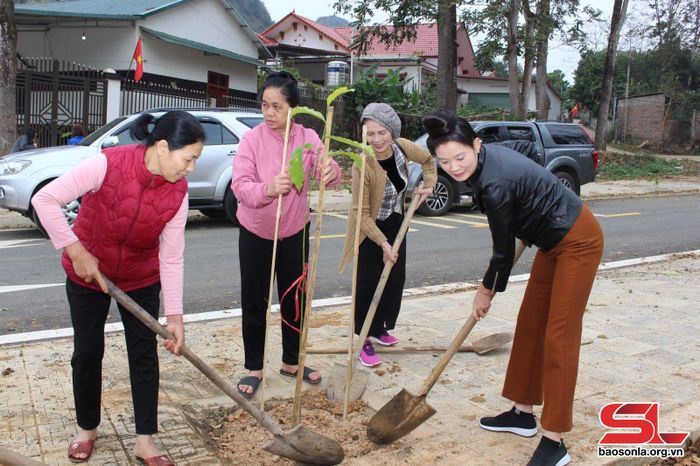 Nhân dân thị trấn Thuận Châu tham gia trồng cây phân tán.