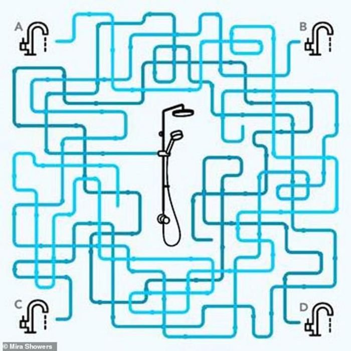 Đố bạn nguồn nước dẫn đến vòi hoa sen nằm ở đâu?