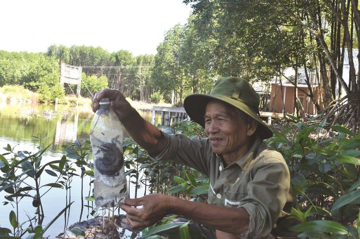Săn cá thòi lòi cùng ông Bảy Bá.