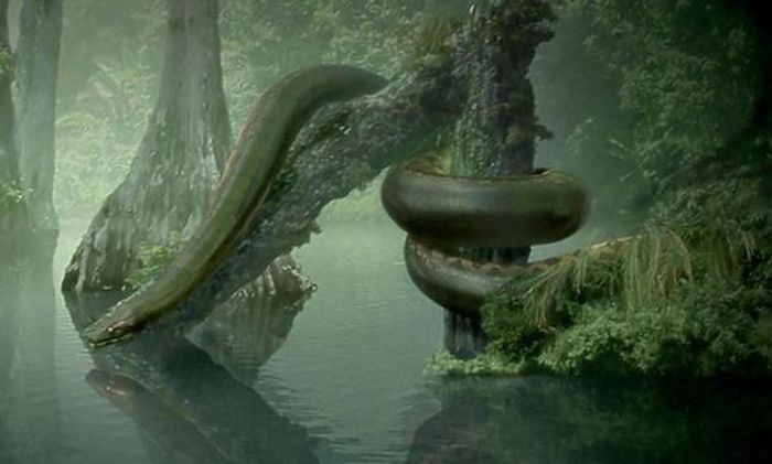 Hiện nay, một số người tin rằng, loài rắn Titanoboa sống sâu trong rừng Amazon, chưa bị phát hiện. Tuy nhiên, giới chuyên gia chưa tìm được bất cứ bằng chứng nào giúp xác thực thông tin này.