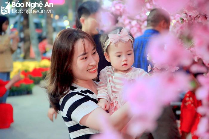 Trong khi đó, hoa anh đào hồng với nét dịu dàng, lãng mạn cũng giúp tạo nên các bức ảnh đẹp ngày đầu năm. Ảnh: Q.A