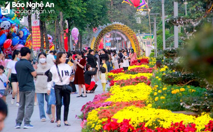 Để phục vụ người dân vui Tết, đón Xuân, TP. Vinh đã chỉnh trang đồng bộ các con phố. Tuyến đường hoa Hồ Tùng Mậu là điểm nhấn của bức tranh mùa Xuân tại thành Vinh. Những ngày đầu năm, hàng ngàn du khách thập phương đã trở về đây để lưu giữ khoảnh khắc đẹp. Ảnh: Q.A