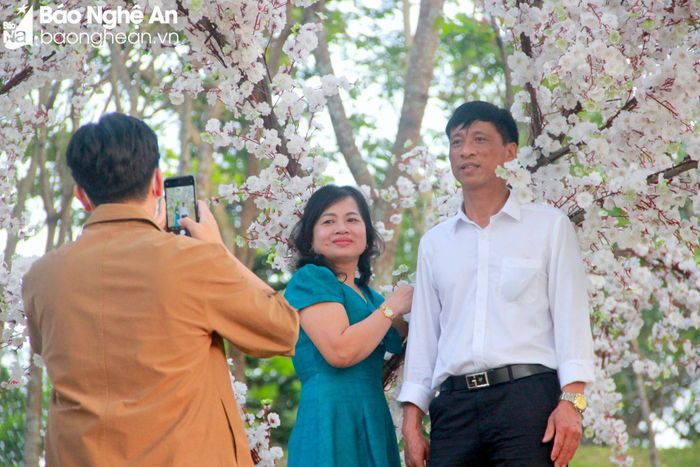 Hoa anh đào trắng được dựng ven núi Chung mô phỏng ở Quảng trường Hồ Chí Minh với vẻ đẹp trong trắng, tinh khôi. Ảnh: Q.A