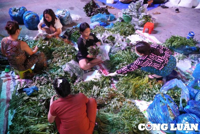  Người dân thức trắng đêm chuẩn bị rau để bán kèm với cá lóc nướng 