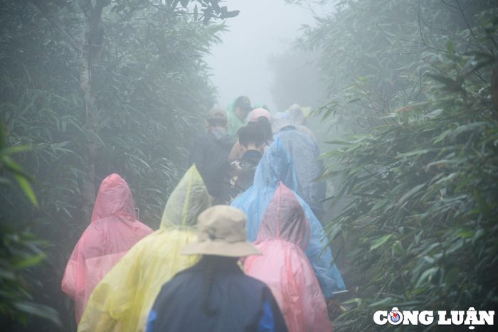  Năm nay, Ban tổ chức đã cải tạo, chỉnh trang nhiều tuyến đường hành hương, các biển báo giới thiệu dọc tuyến đường từ Dốc Đỏ vào tới chân núi Yên Tử. 
