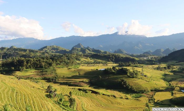 Ruộng bậc thang xã Tả Lèng, huyện Tam Đường là điểm đến hấp dẫn du khách