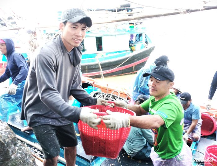 Ngư dân vận chuyển từng sọt cá cơm từ tàu cá lên bờ.