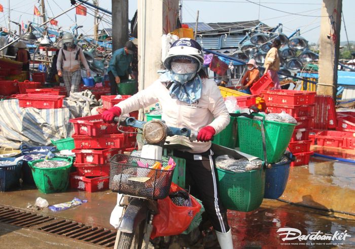 Chị Như đang vận chuyển các sọt cá cơm bán.