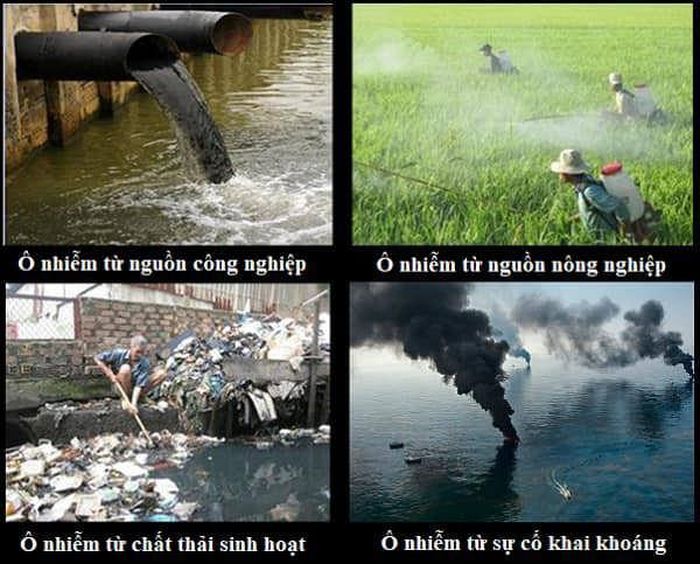Để giảm phát thải khí nhà kính các, tổ chức, công ty liên quan đến các lĩnh vực quản lý chất thải năng lượng, GTVT, nông nghiệp...