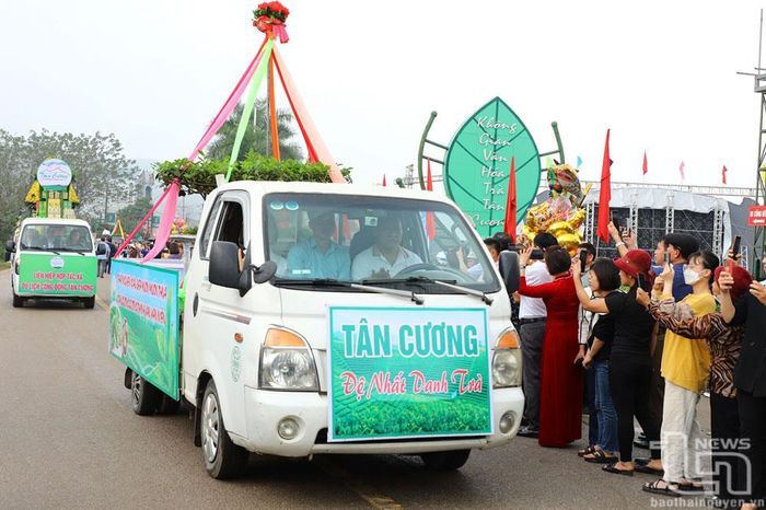 Diễu hành cây chè đẹp.
